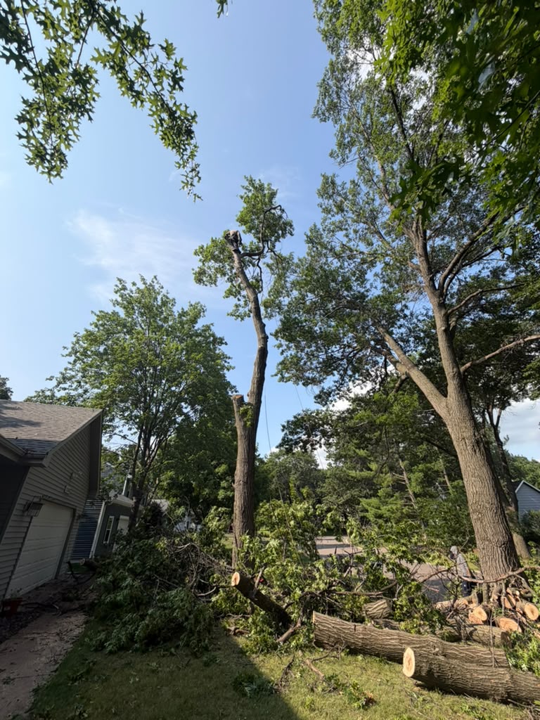 Residential lot clearing project in Hugo Minnesota for new construction