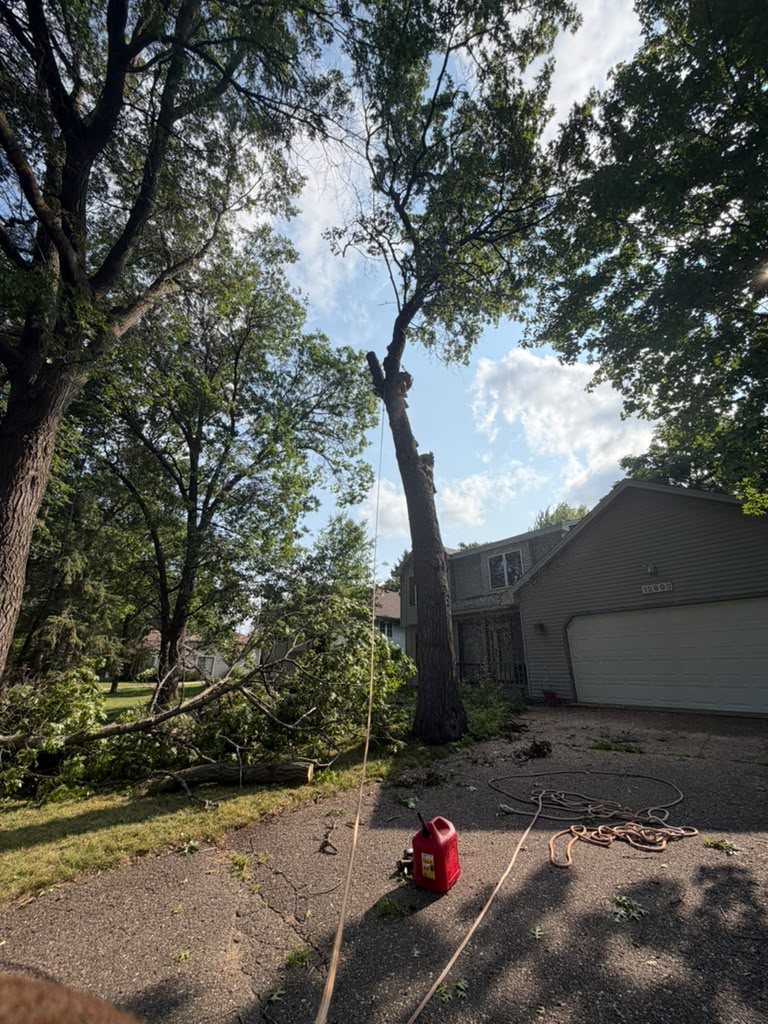 Emergency tree removal after ice storm in Eagan Minnesota