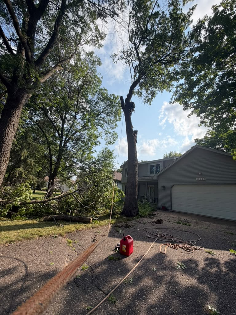 Heavy brush and vegetation clearing in Cottage Grove Minnesota